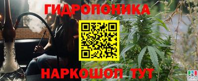 гидропоника Гусиноозёрск
