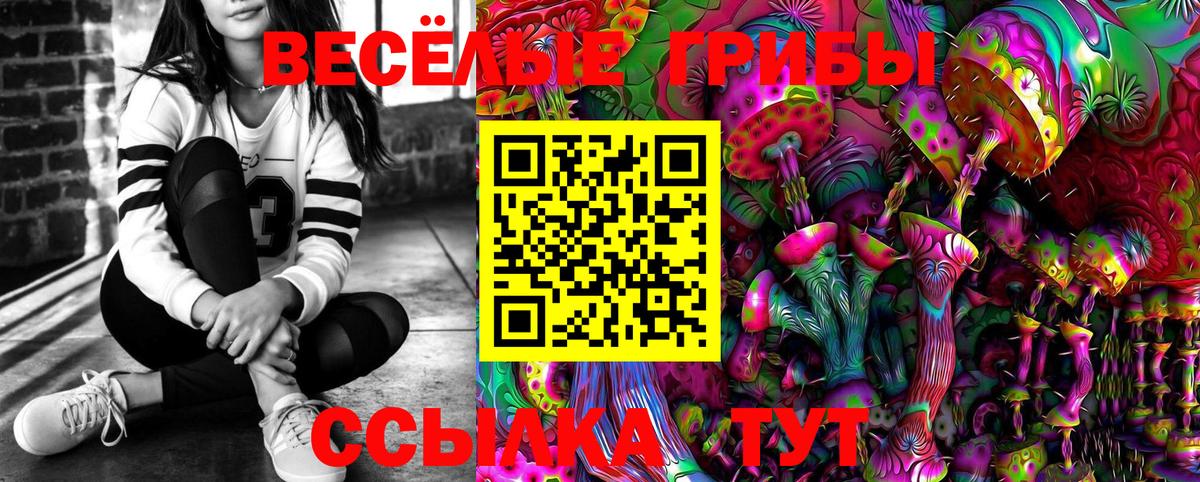 Псилоцибиновые грибы Magic Shrooms Воронеж